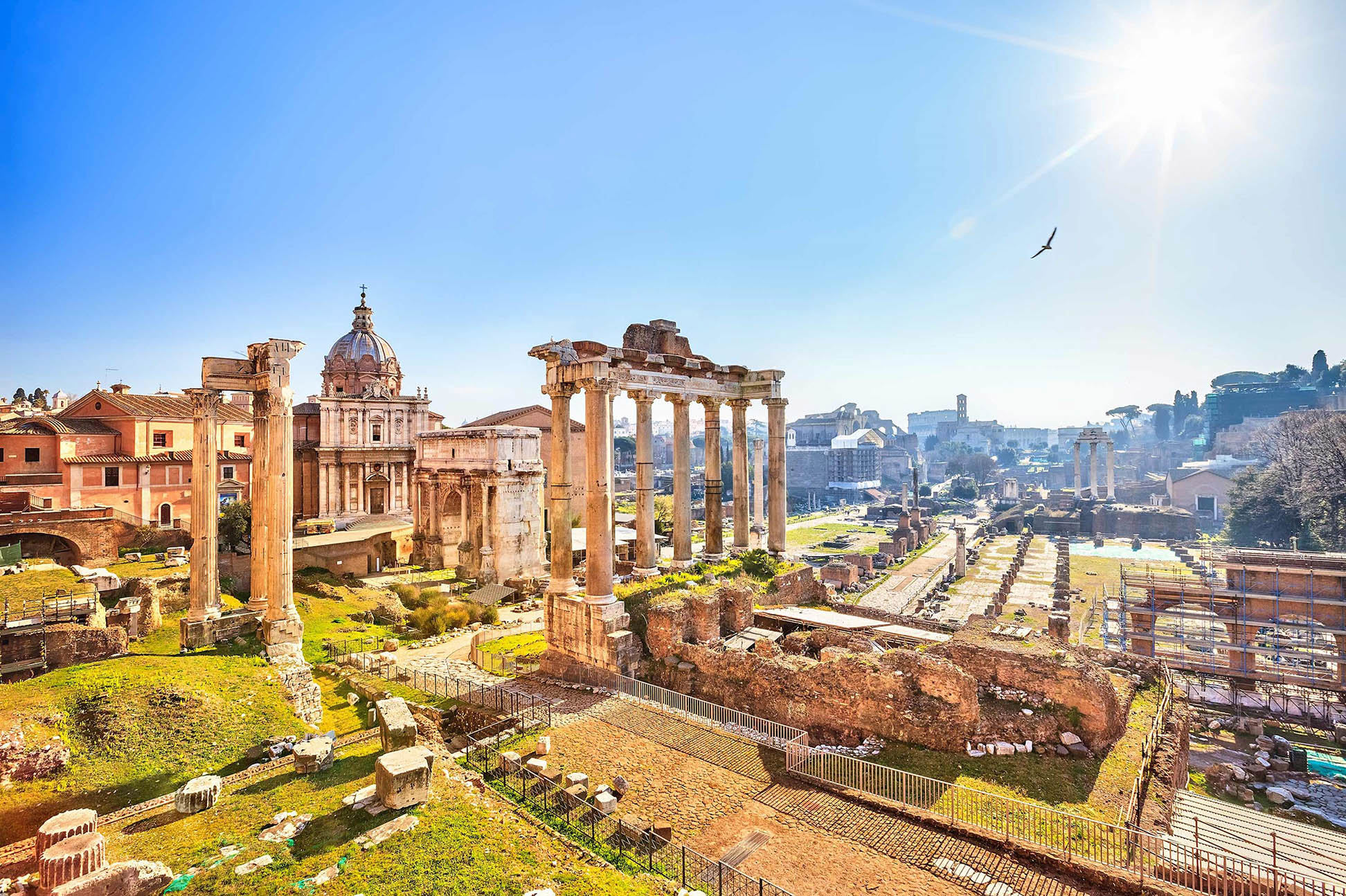Panoramic view of the Roman Forum ruins with ancient columns and greenery in Rome, Italy