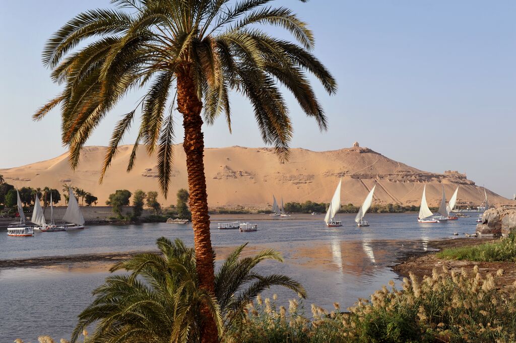 Sailboats with white sails and desert backdrop on the River Nile, Aswan in Egypt