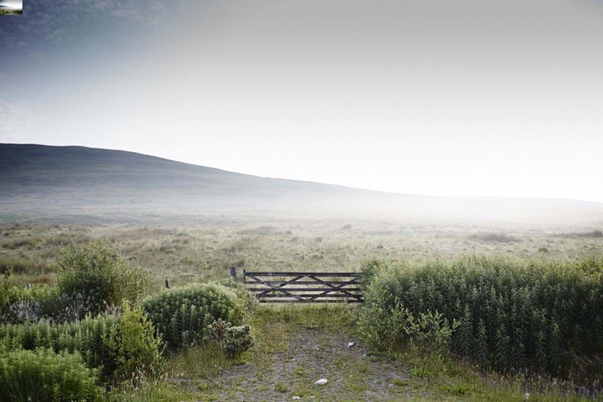 A misty field in Scotland