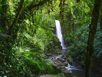 Costa Rica Adventure Guided Tour