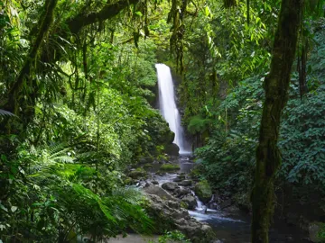 Costa Rica Adventure Guided Tour