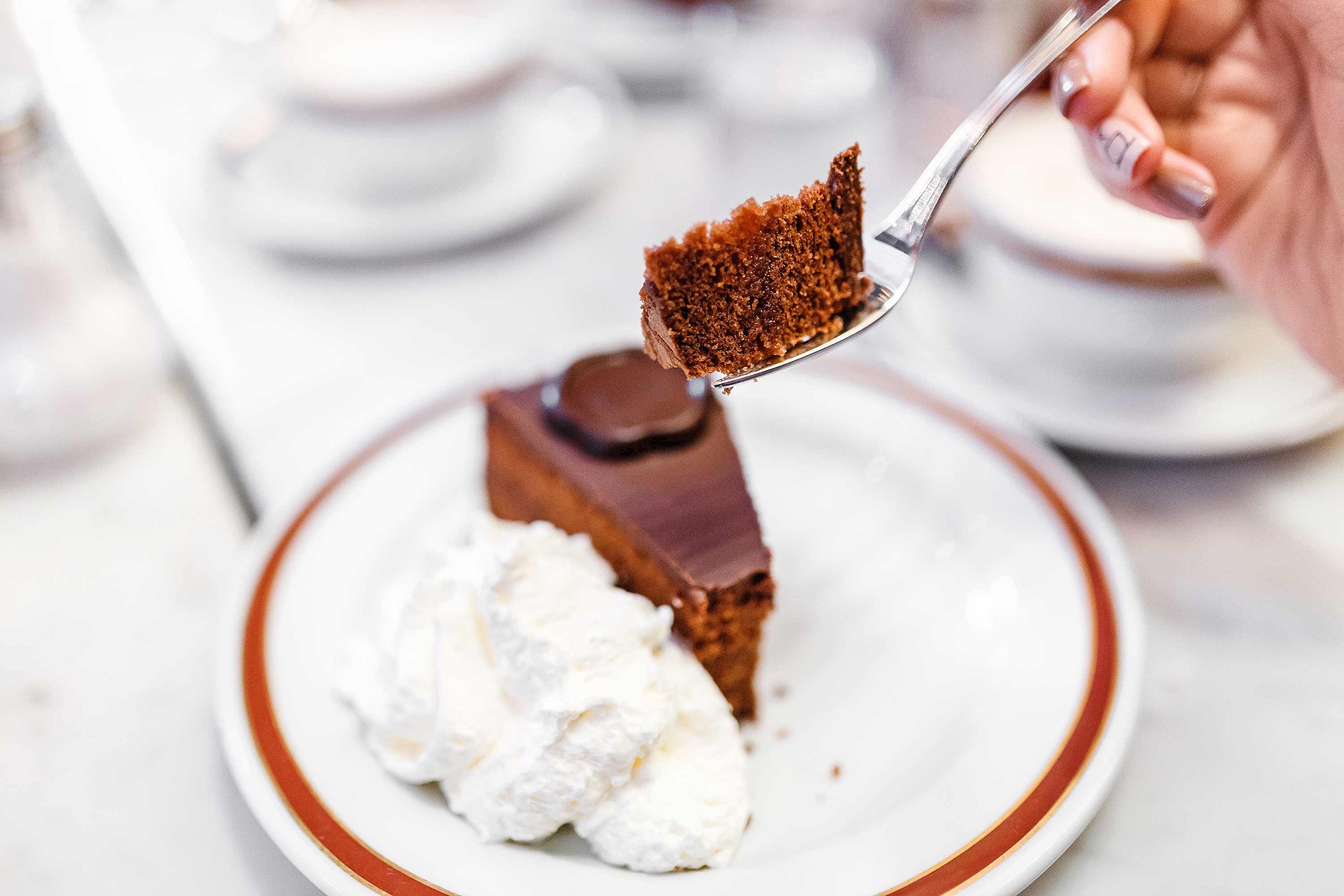 A slice of Sacher Cake and whipped cream in Vienna, Austria