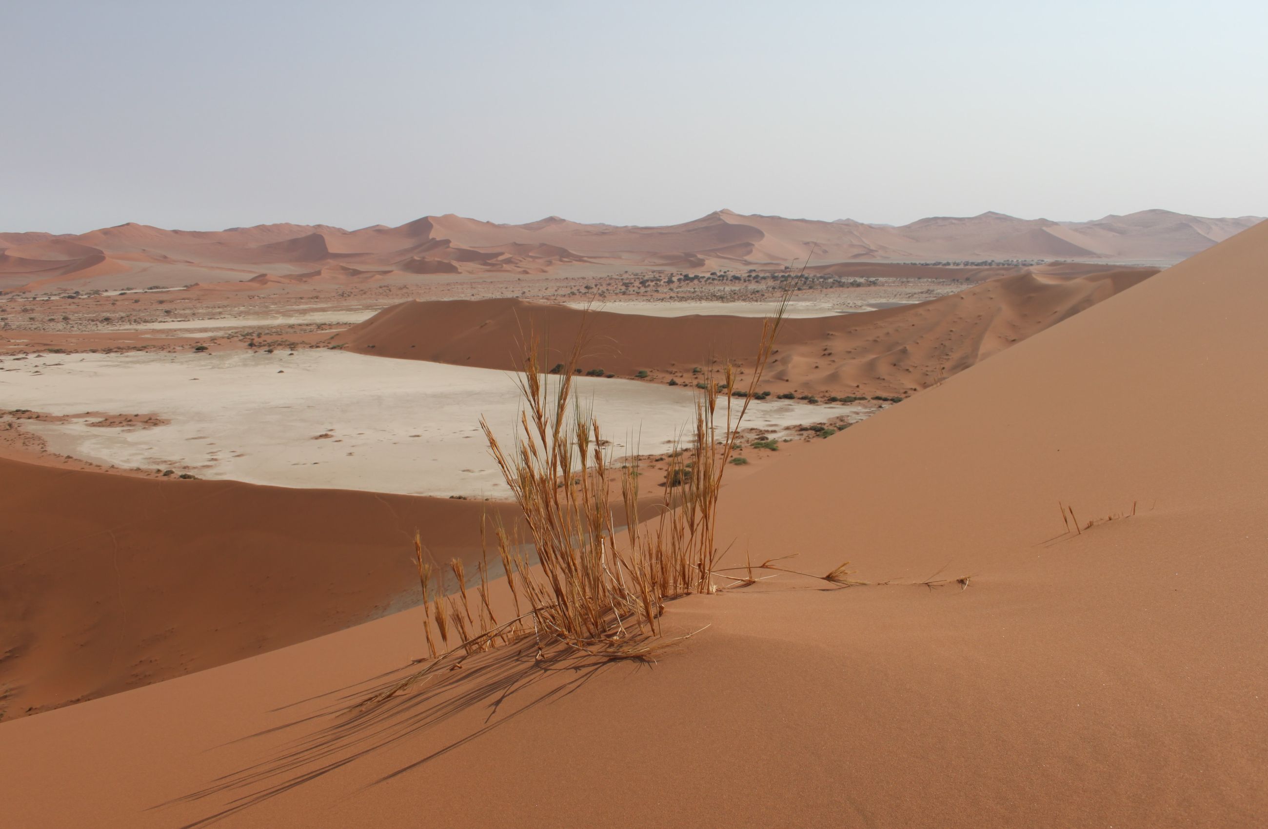 A large expanse of red sand dunes in the Sesriem Canyon, Namibia