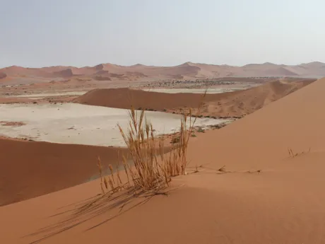 A large expanse of red sand dunes in the Sesriem Canyon, Namibia