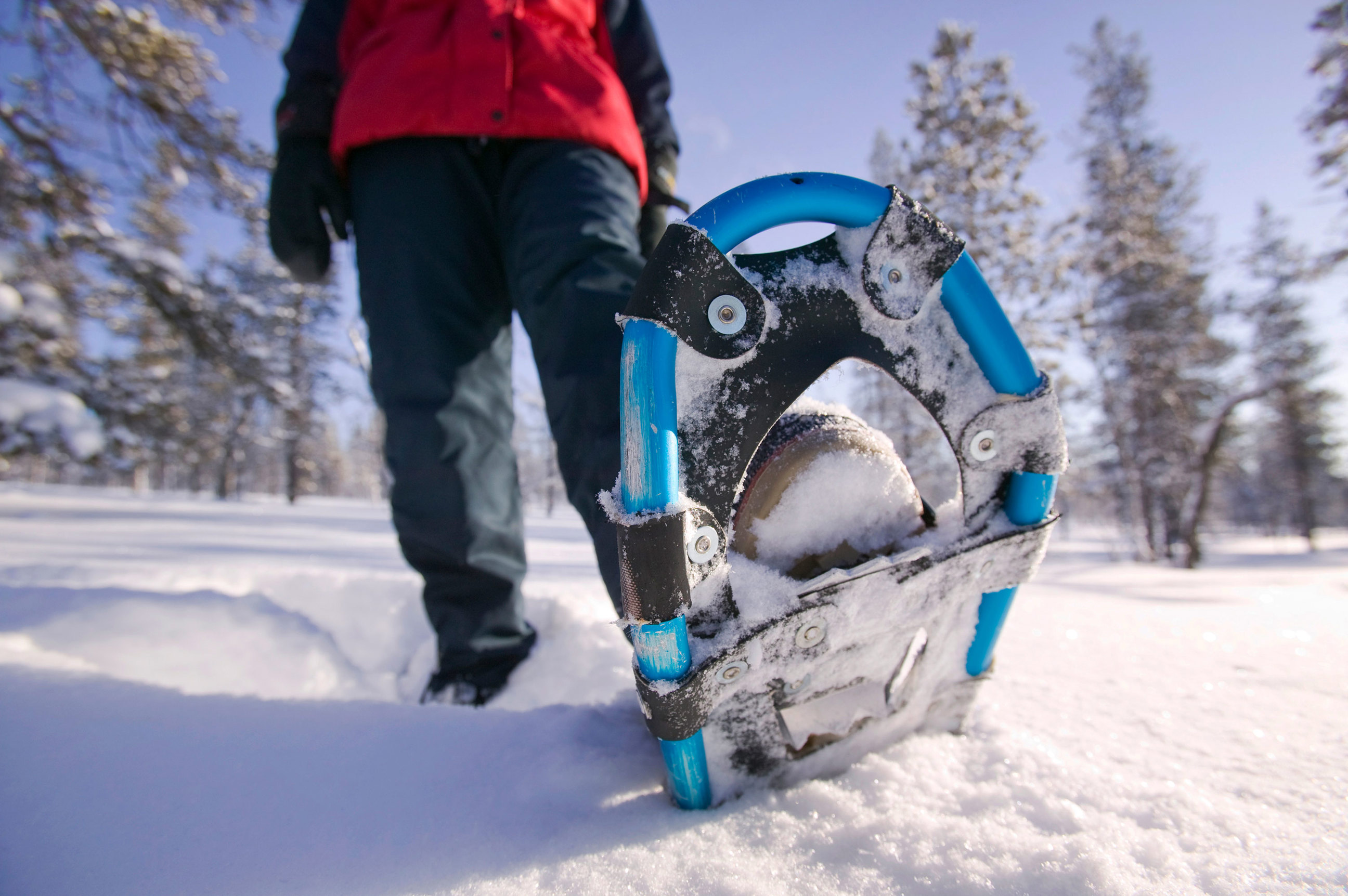 talkeetna-snowshoe-tour-talkeetna-alaska-usa.jpg