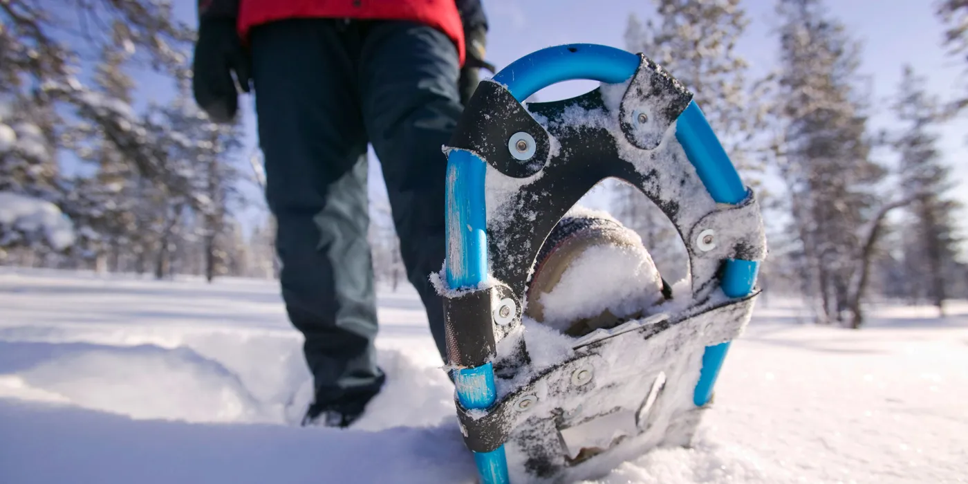 talkeetna-snowshoe-tour-talkeetna-alaska-usa.jpg