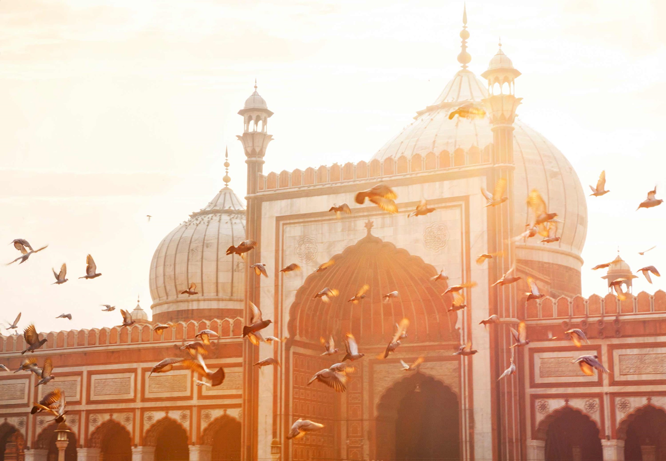 Jama Masjid mosque in Delhi with birds flying across domes at sunrise