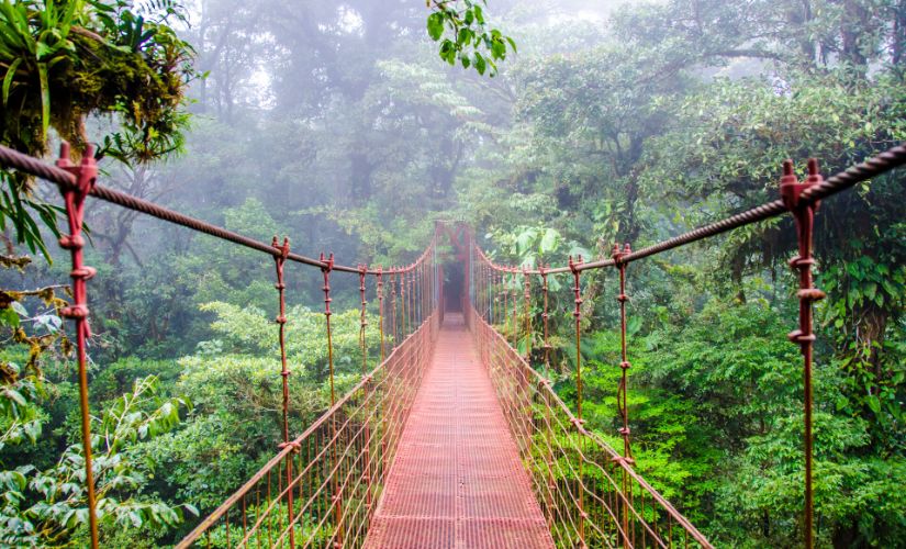 Point-of-view shot of a bridge in the rainforest in Costa Rica