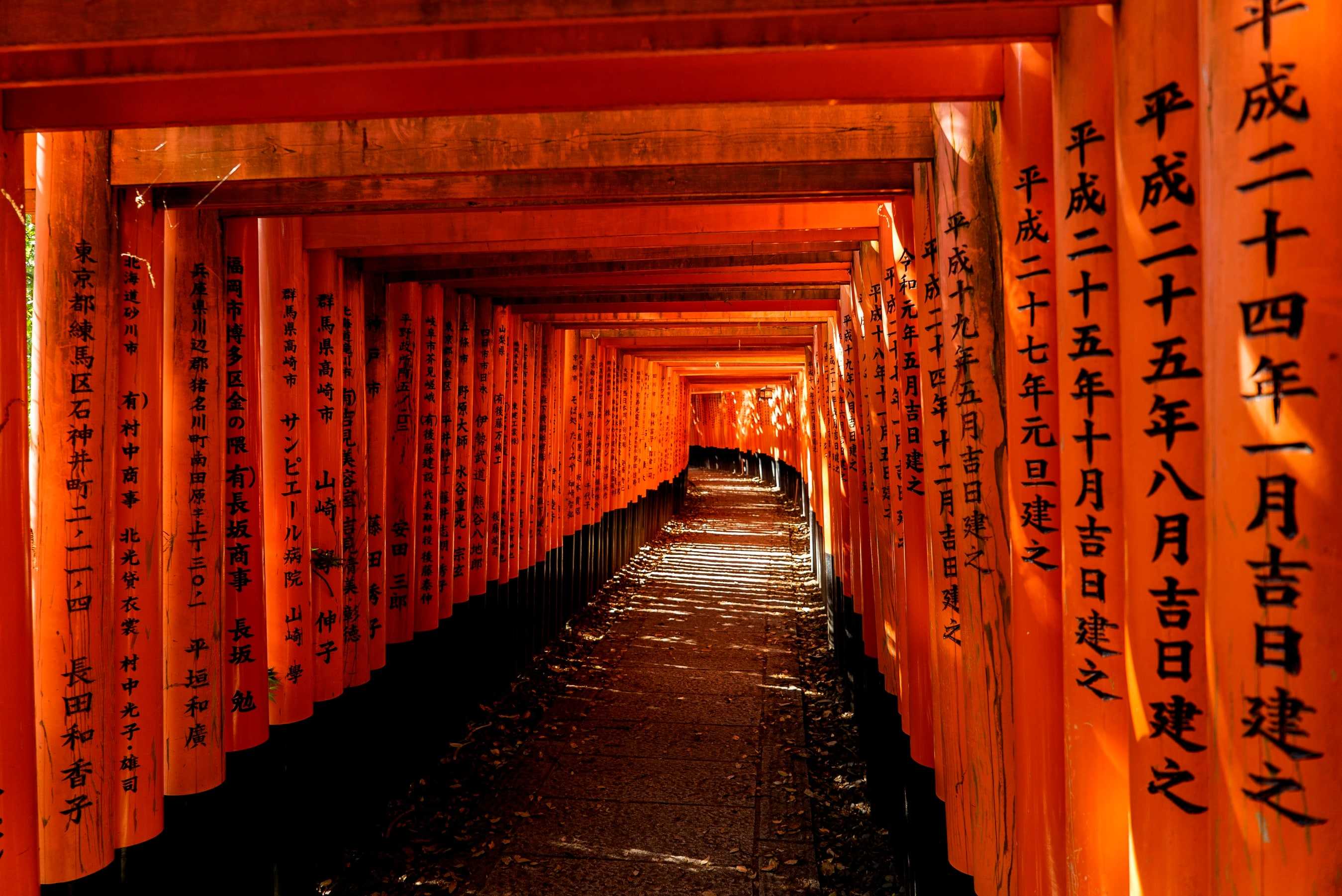 Orange signs with Japanese writing in Kyoto