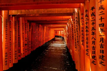 Orange signs with Japanese writing in Kyoto