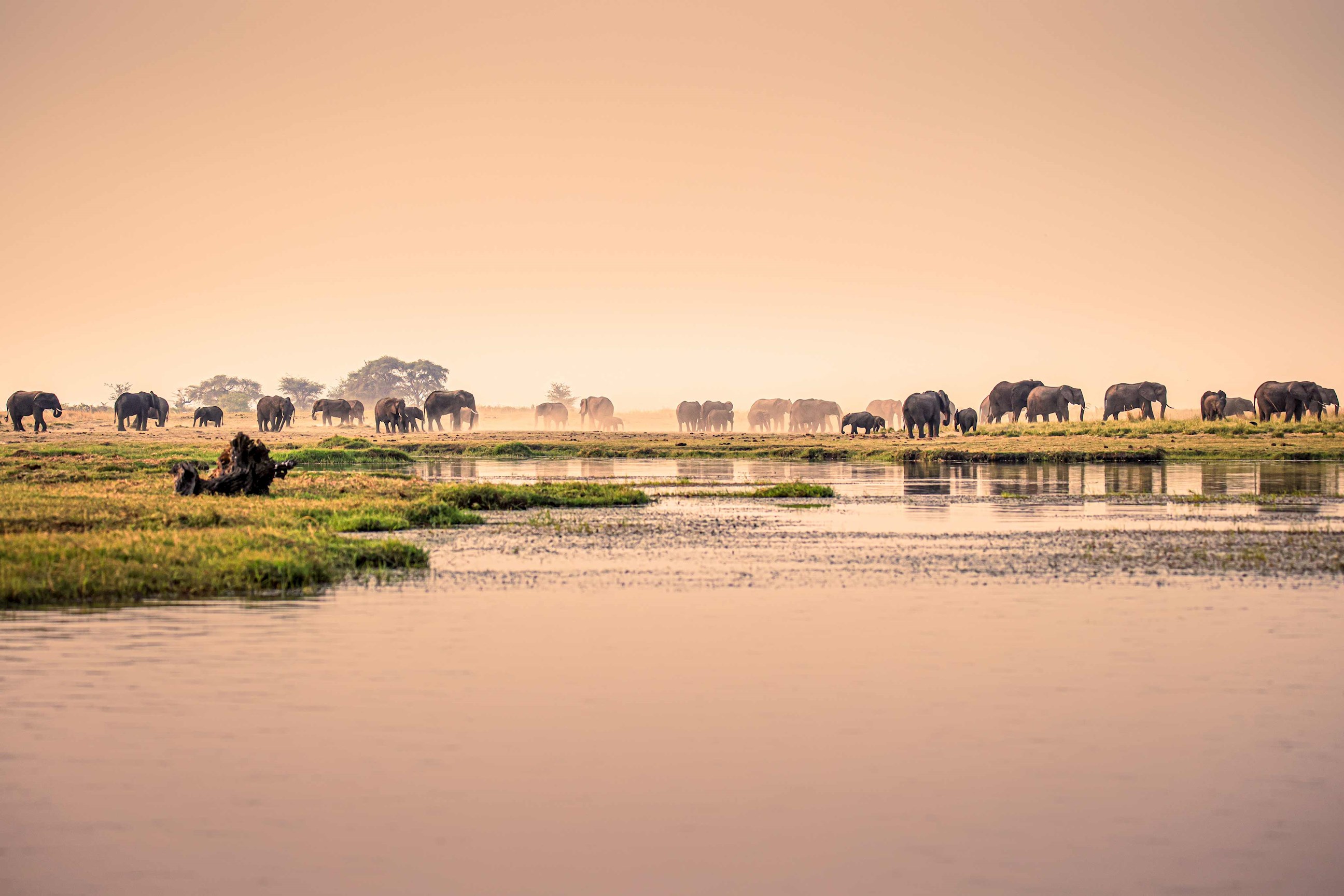 explore-botswanas-chobe-national-park.jpg