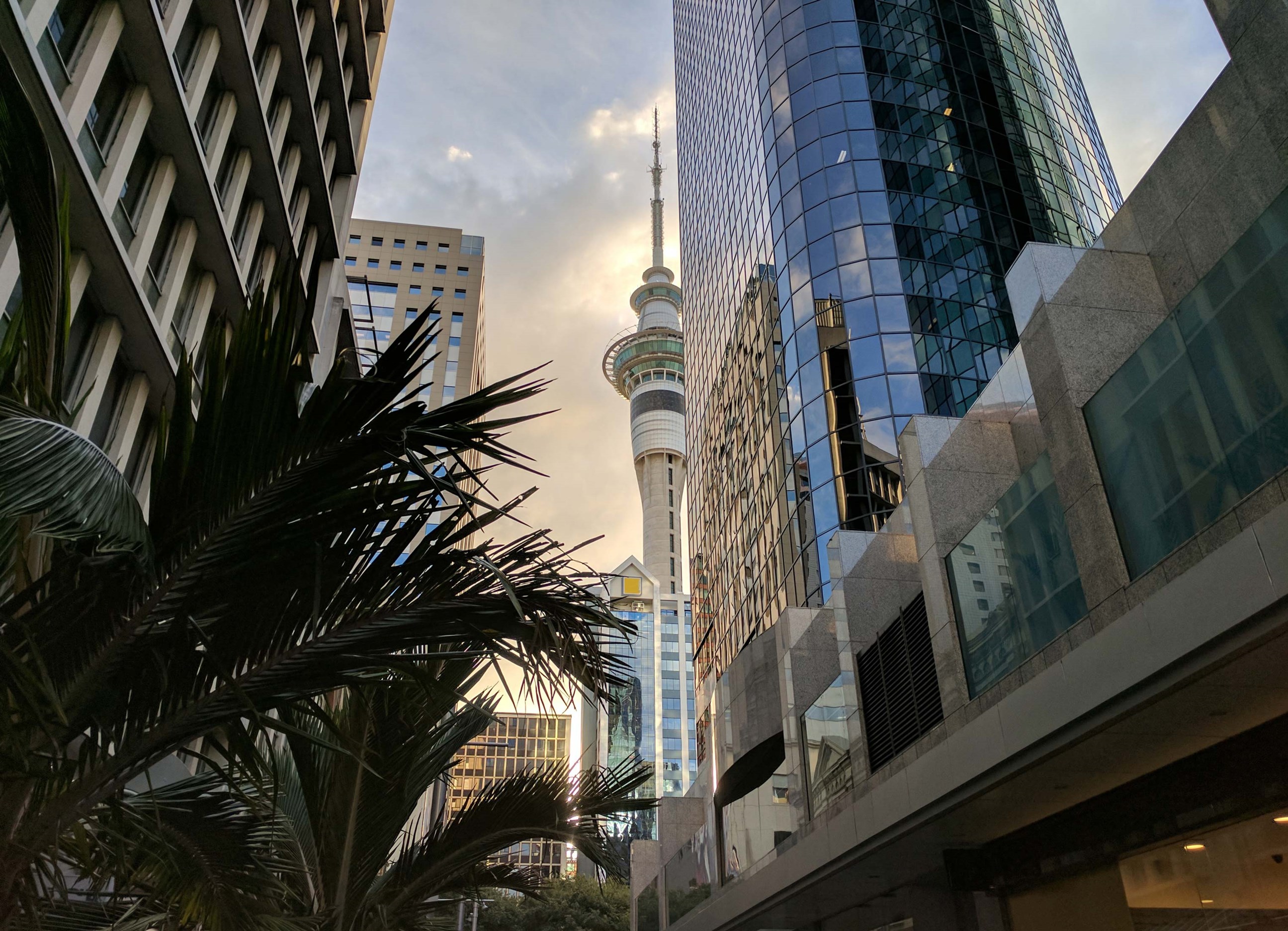 sky-tower-buildings-auckland-new-zealand