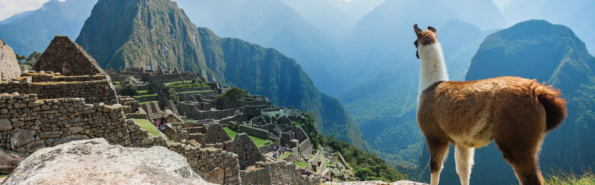 Machu Picchu and lama, Peru 
