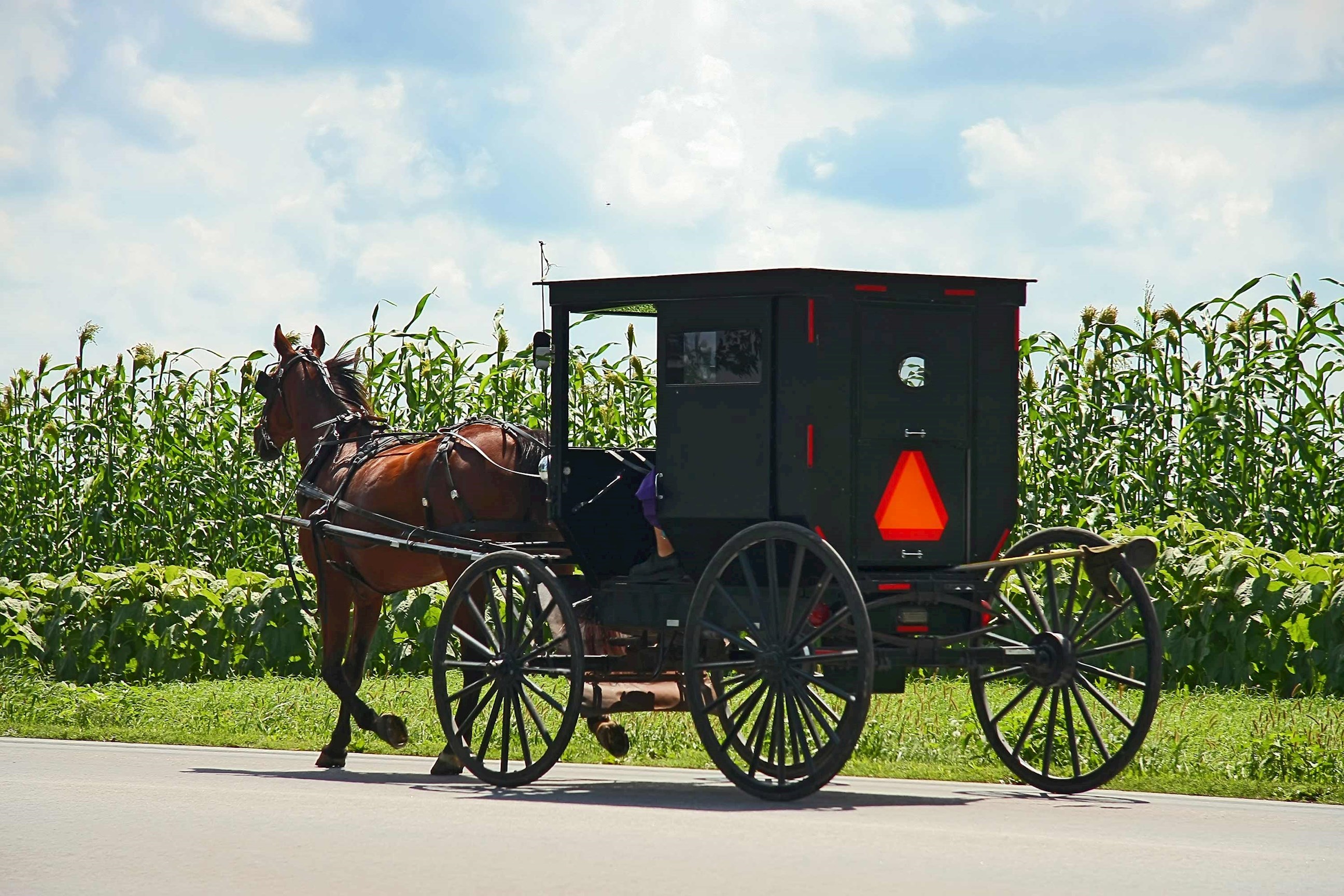 Learn about Amish traditions at Plain & Fancy Farm near Lancaster, USA
