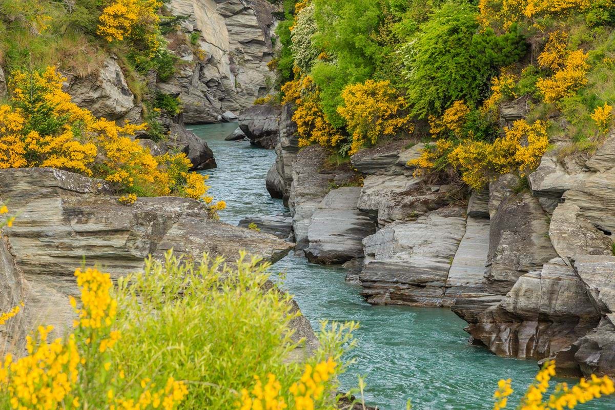 Shotover River New Zealand