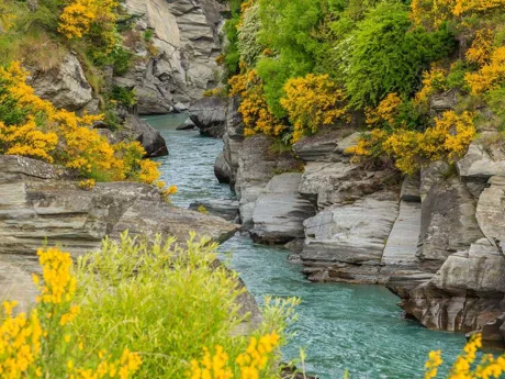 Shotover River New Zealand