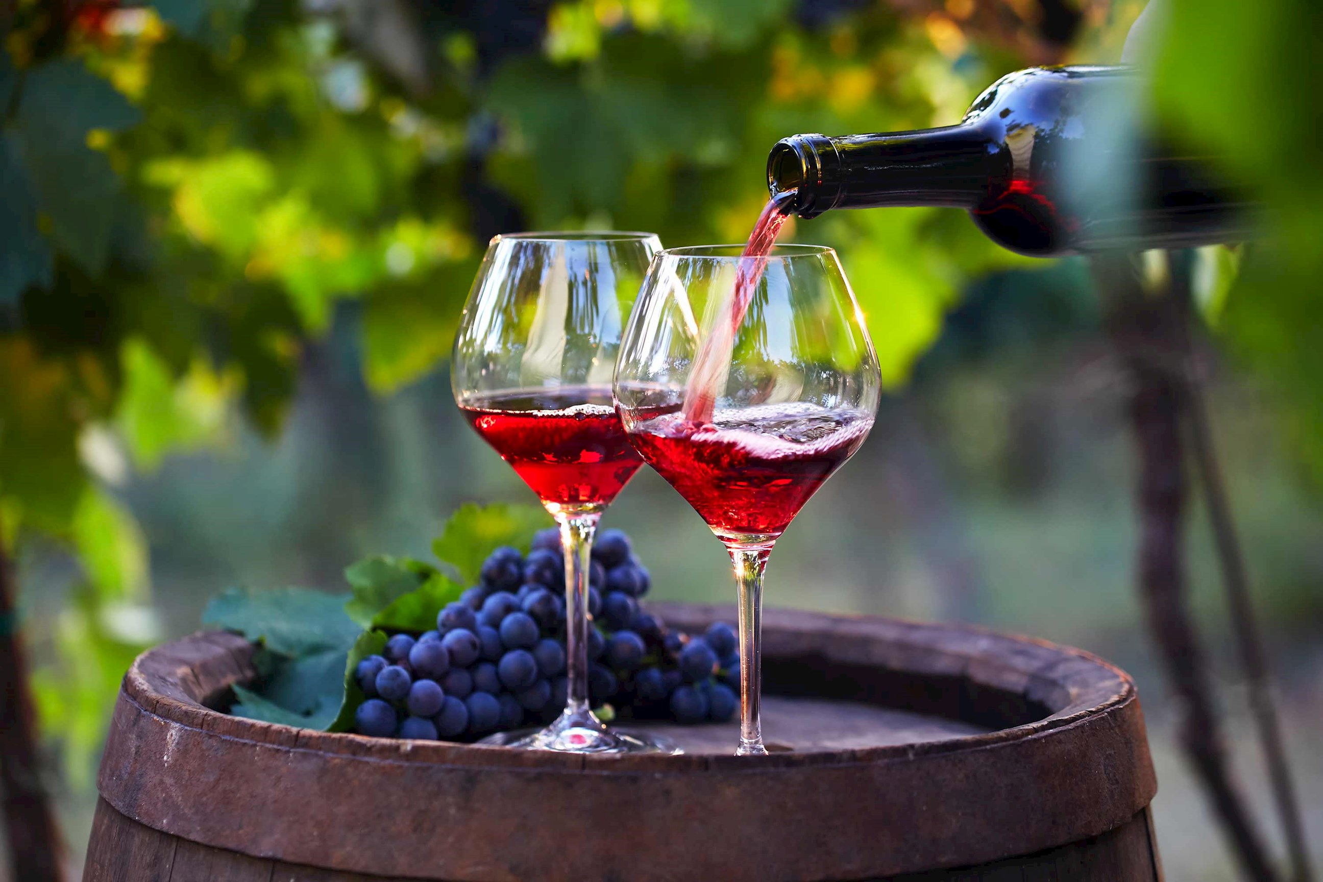 red-wine-glasses-vineyard-bordeaux-france.jpg