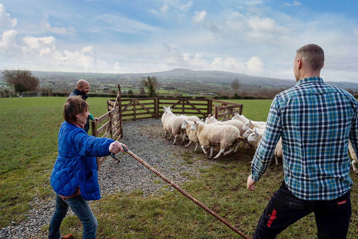 jamese-mccloy-northern-irish-shepherd-glenshane-country-farm-maghera-northern-ireland.jpg