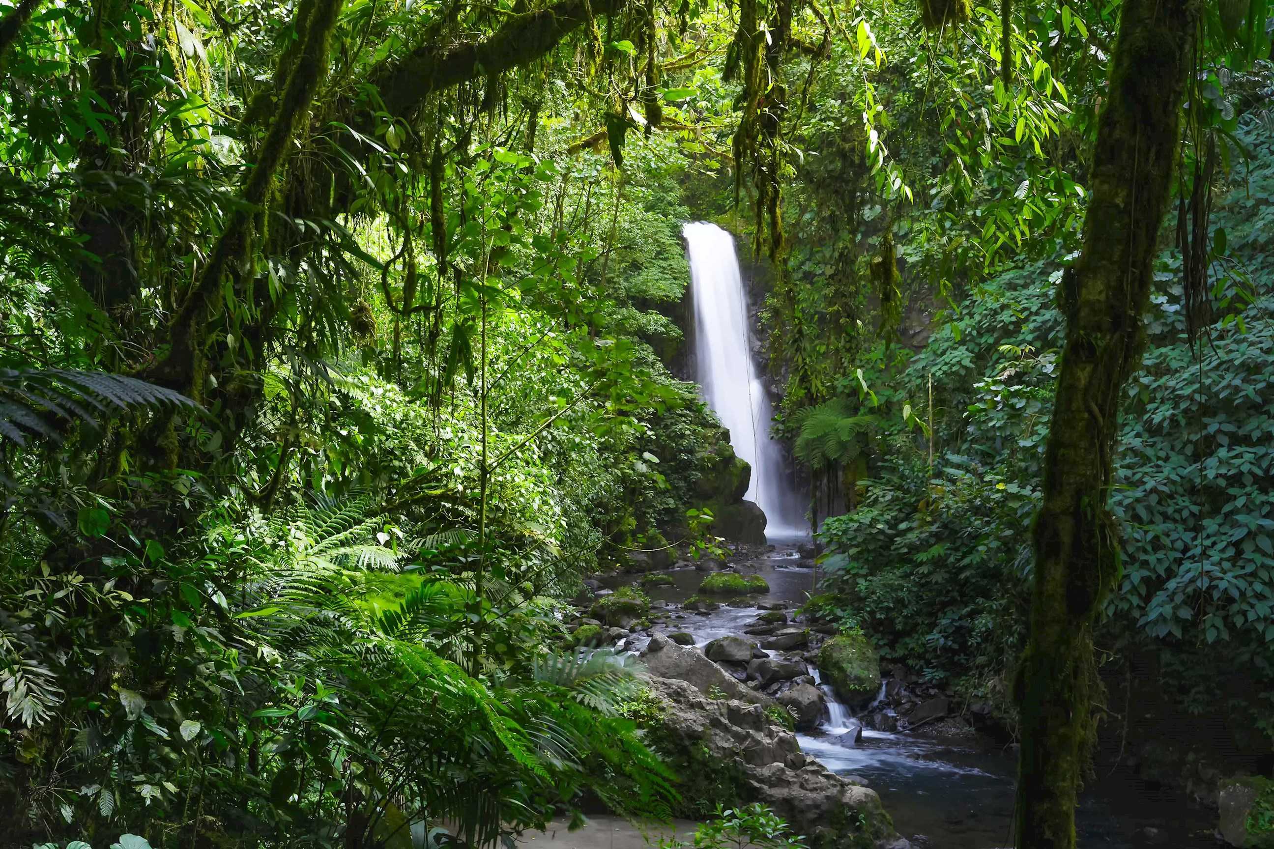 Waterfall amongst greenery in the Costa Rica jungle
