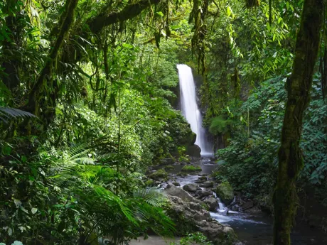 Waterfall amongst greenery in the Costa Rica jungle
