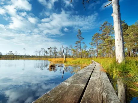 The Lahemaa National Park in Estonia