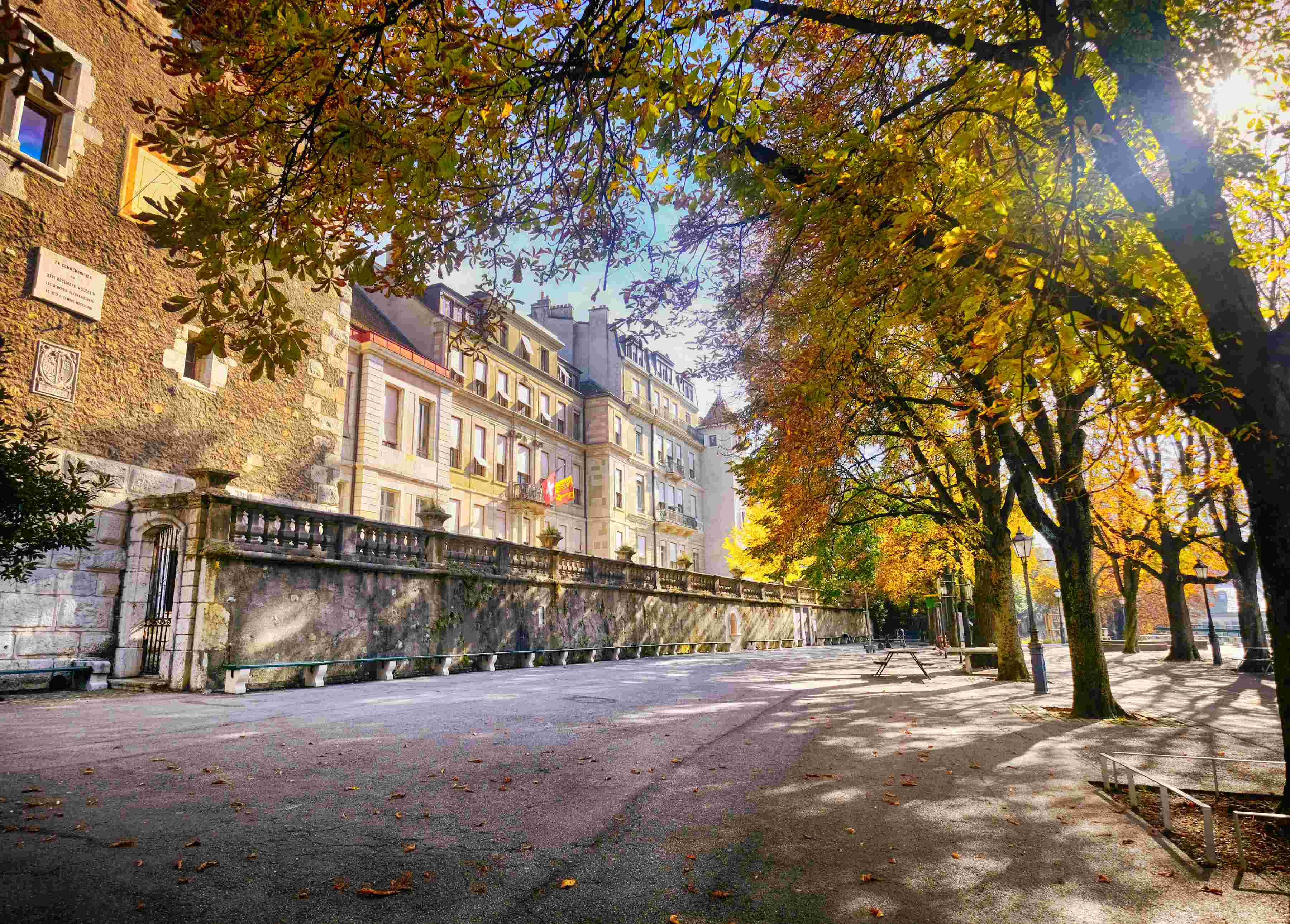 Trees and buildings in Old Town Geneva