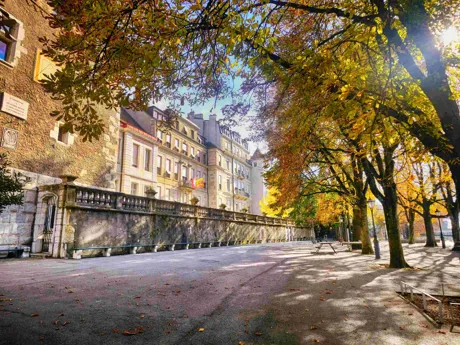 Trees and buildings in Old Town Geneva