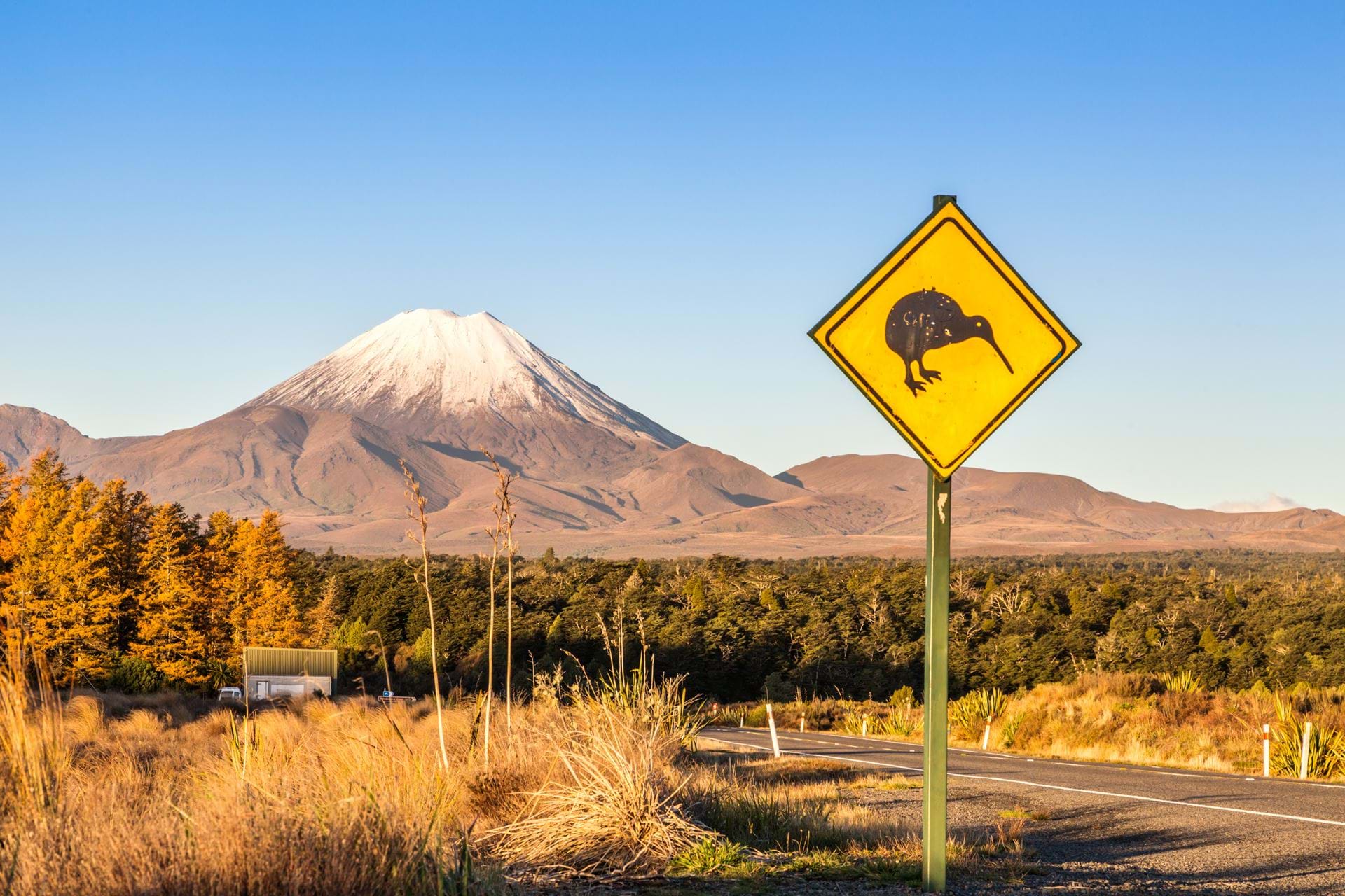 kiwi-sign-road-tongariro-new-zealand-5760x3840.jpg