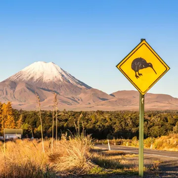 kiwi-sign-road-tongariro-new-zealand-5760x3840.jpg