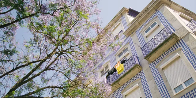 A tall building with blue and white tiles on it and tree in Porto, Portugal