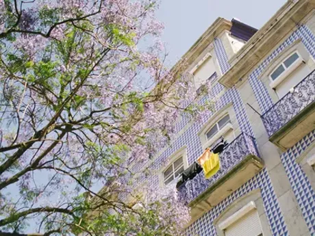A tall building with blue and white tiles on it and tree in Porto, Portugal