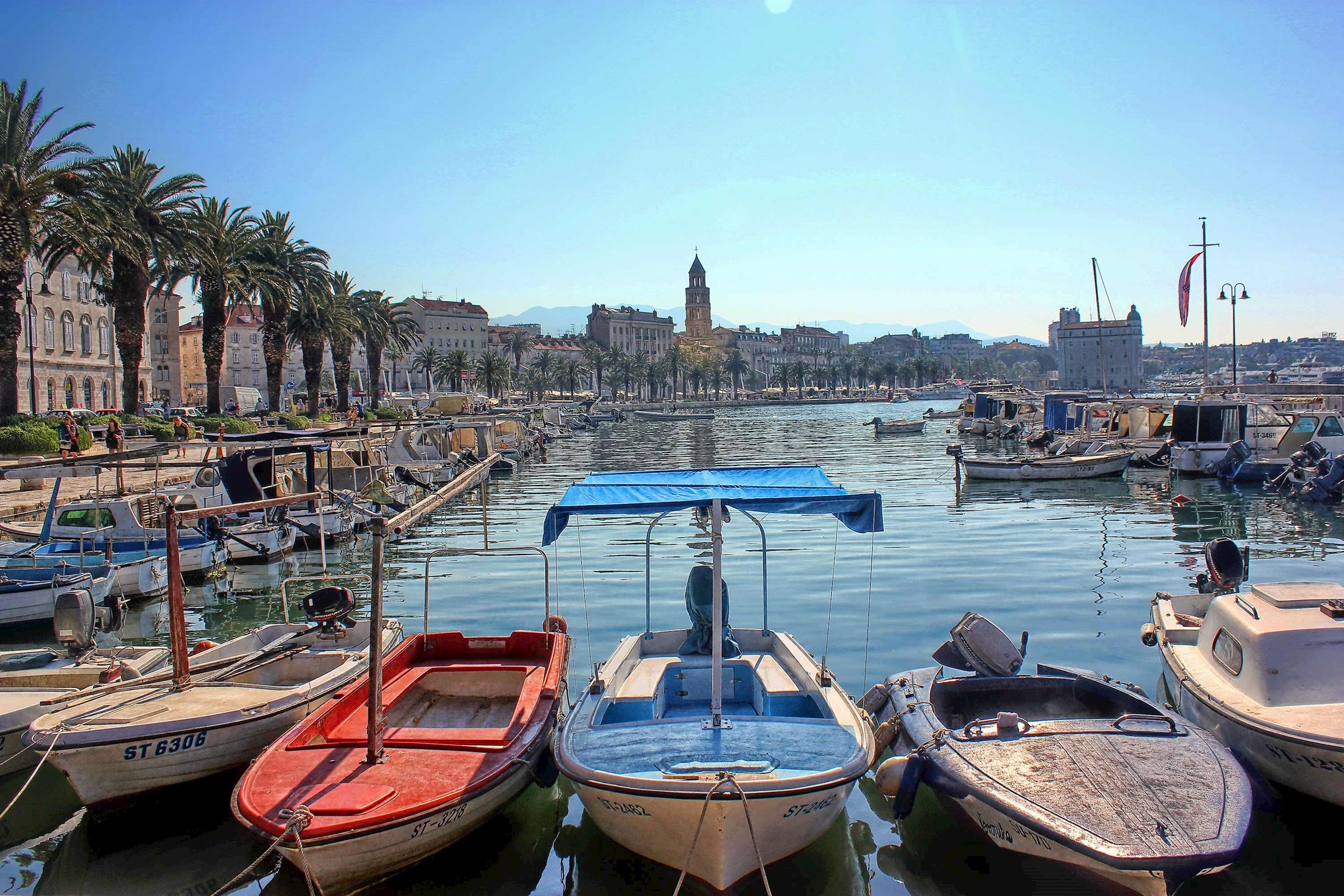 A port view of boats and palm trees in Split, Croatia