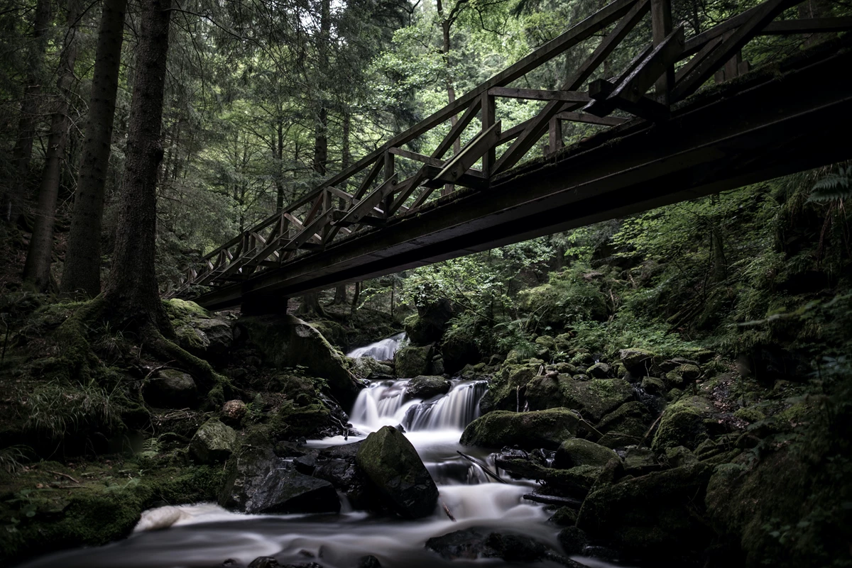 Black forest bridge in Germany