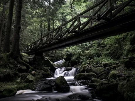 Black forest bridge in Germany