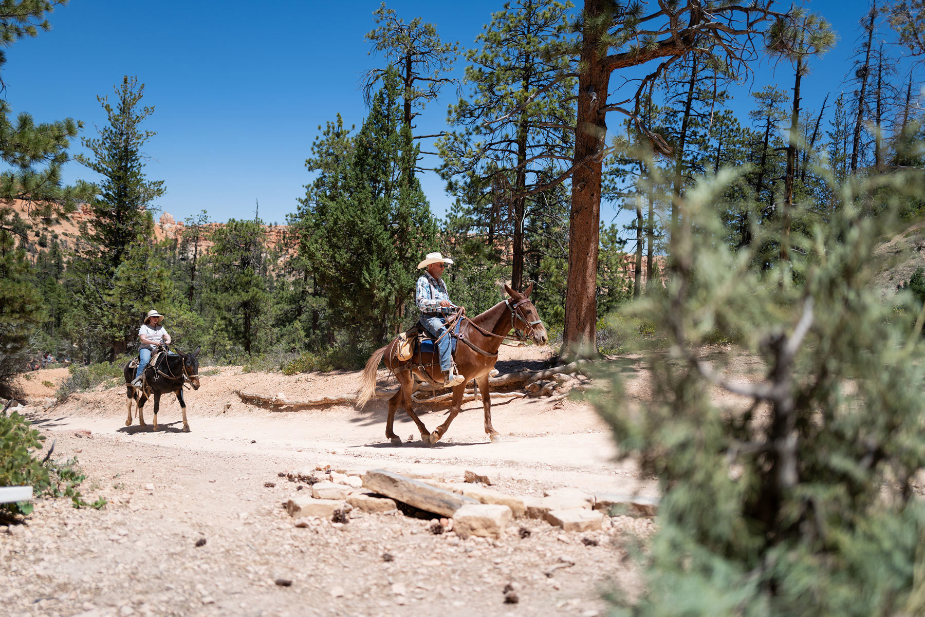 horseback-riding-bryce-canyon-national-park-utah-usa.jpg
