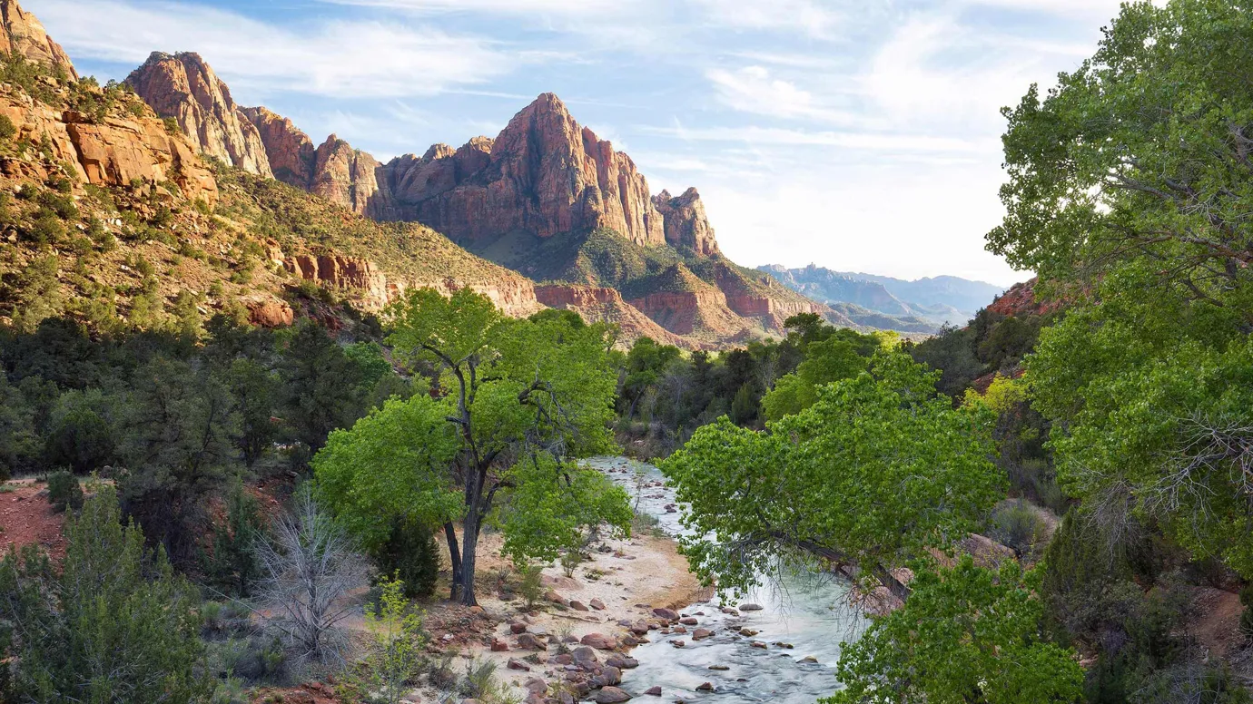 A scenic view of Zion National Park