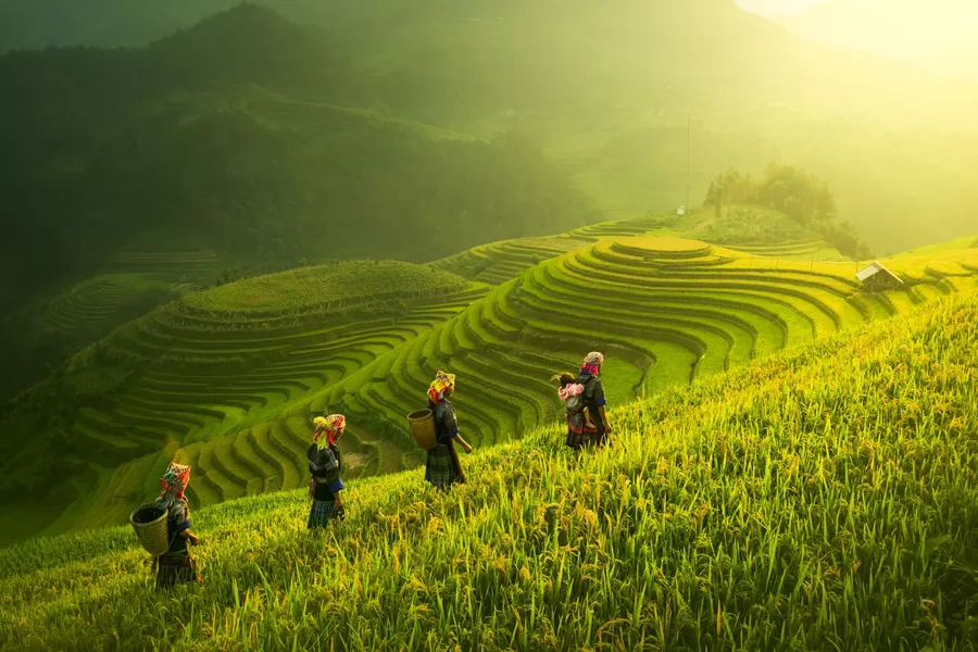 Beautiful scene of Farmers Walking On Rice Fields Terraces at dawn