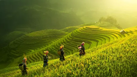Beautiful scene of Farmers Walking On Rice Fields Terraces at dawn
