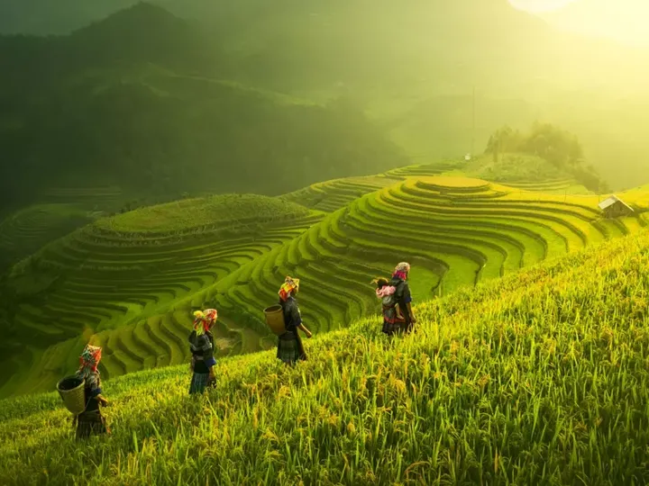 Beautiful scene of Farmers Walking On Rice Fields Terraces at dawn