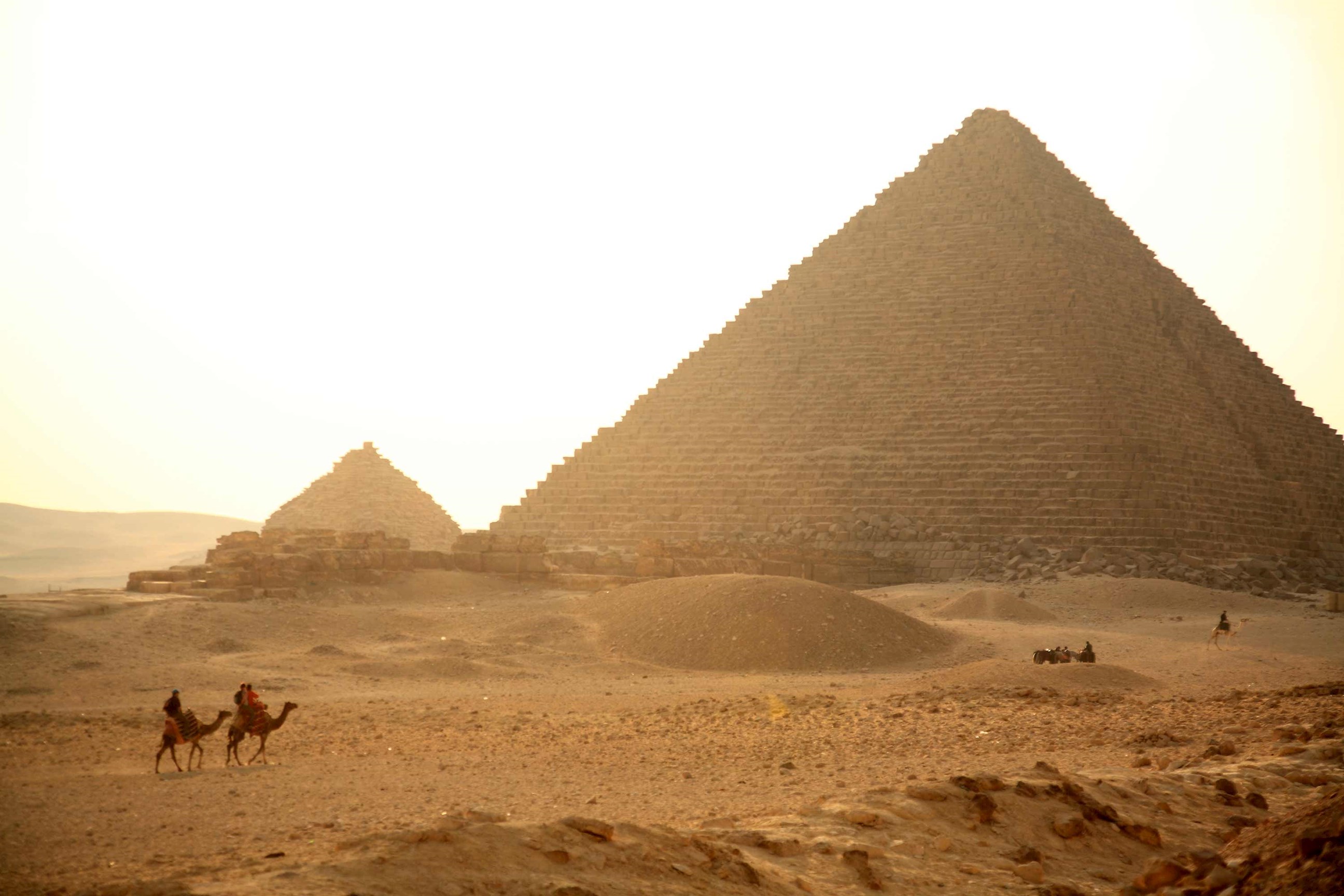 A desert view of camels and pyramids at sunset in Aswan, Egypt
