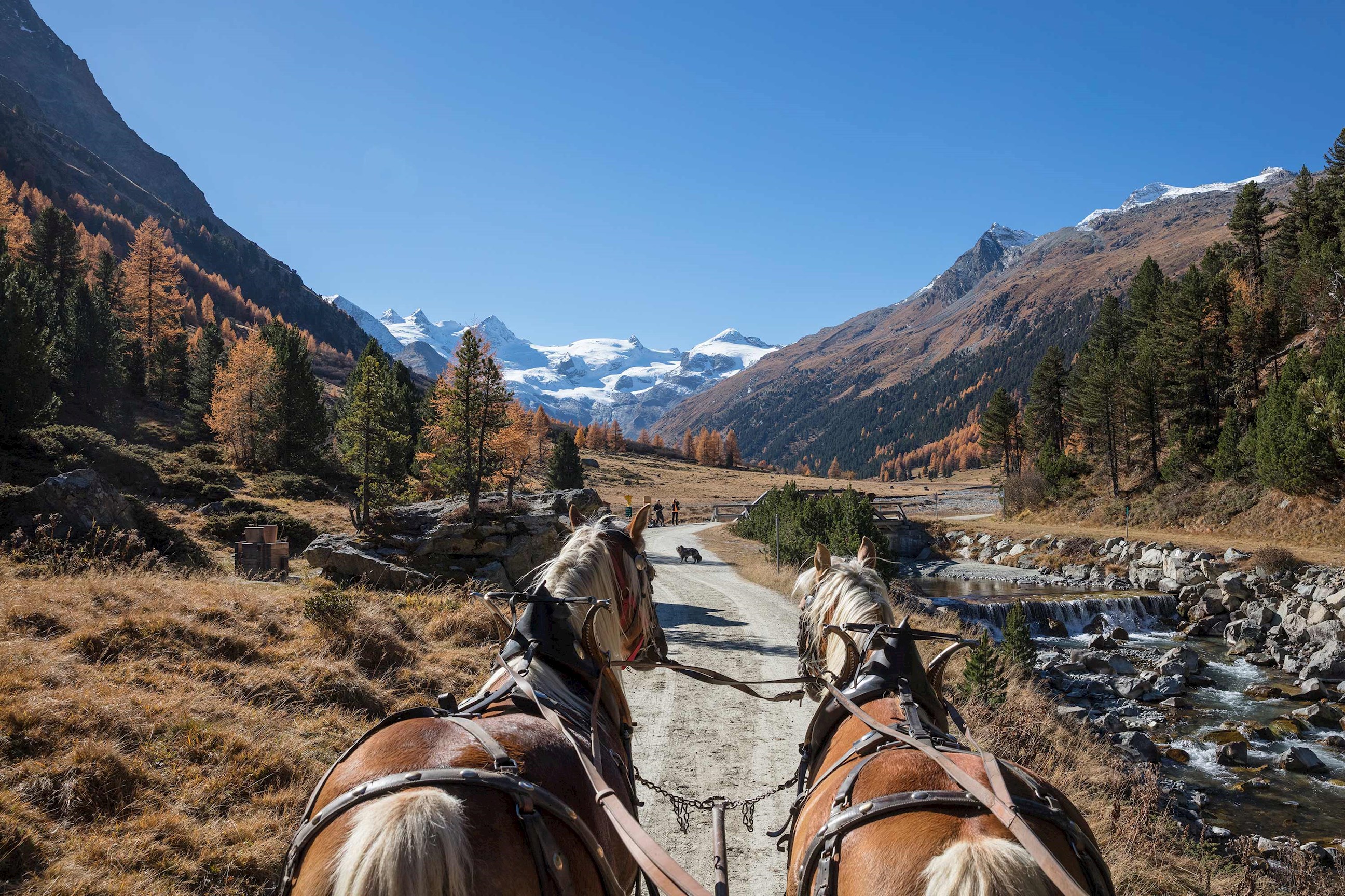 alpine-trainride-seefeld-carriage-ride-vienna-austria.jpg