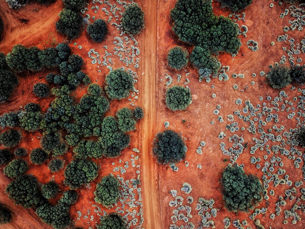 medium-an-aerial-shot-of-the-red-centre-roads-in-the-australian-outback-1071558994.jpg