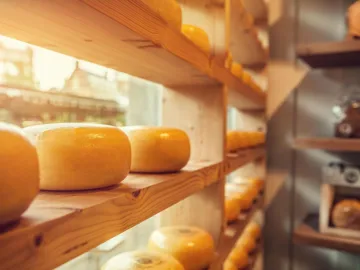 Rows of round cheese wheels displayed on wooden shelves indoors