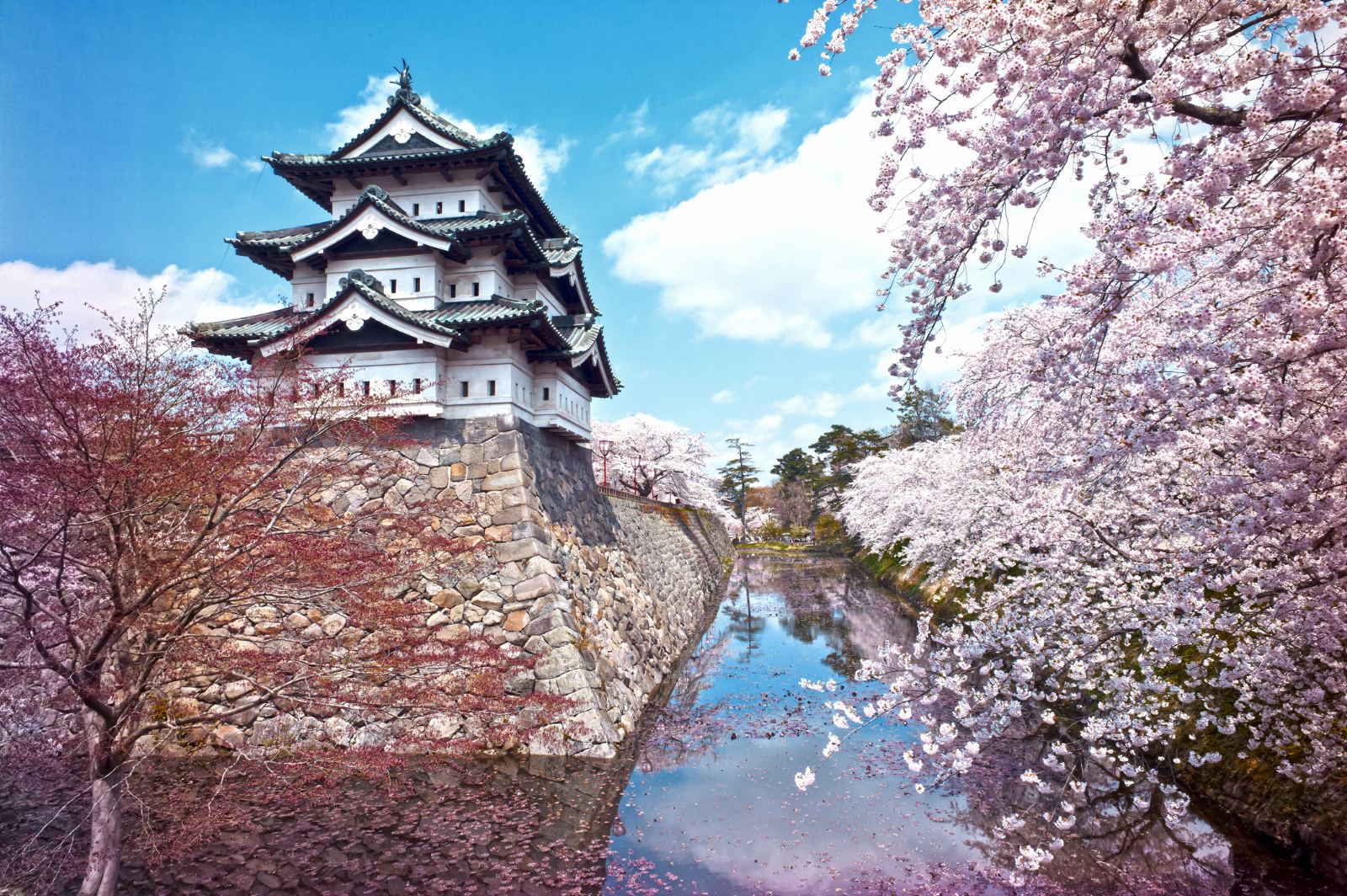 Kurama Dera Temple in Japan surrounded by blooming sakura trees