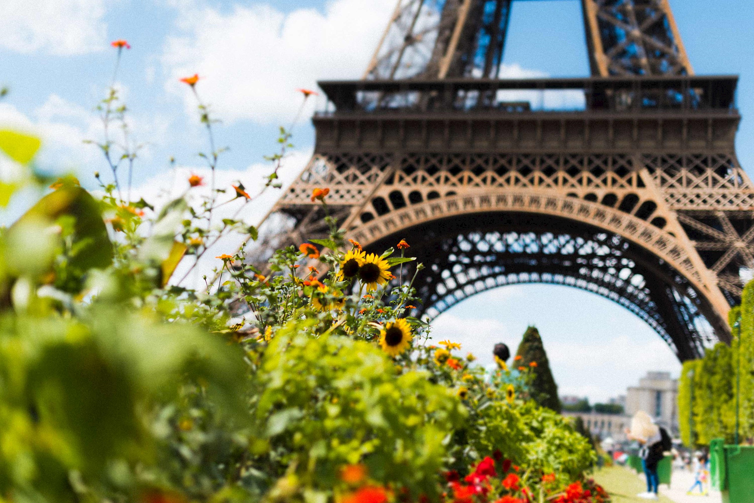 A close view of greenery and flowers in front of the Eiffel Tower in Paris, France