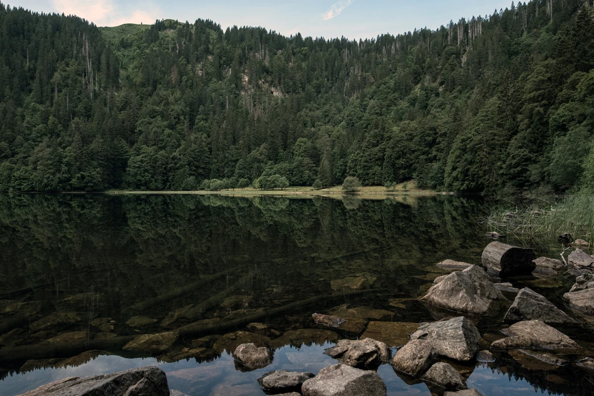 Black forest lake in Germany