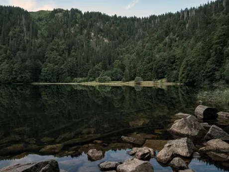 Black forest lake in Germany