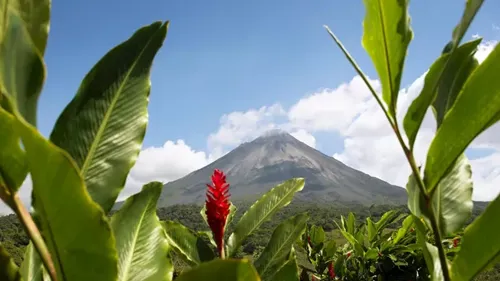 A view of a Red Ginger Volcano with a red flower in the foreground in Costa Rica