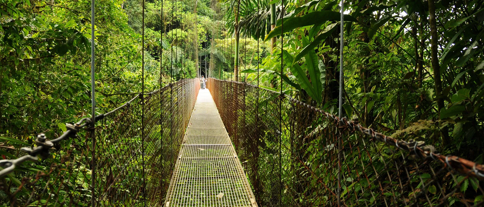 Hanging Bridge in the jungle in Costa Rica, Central America