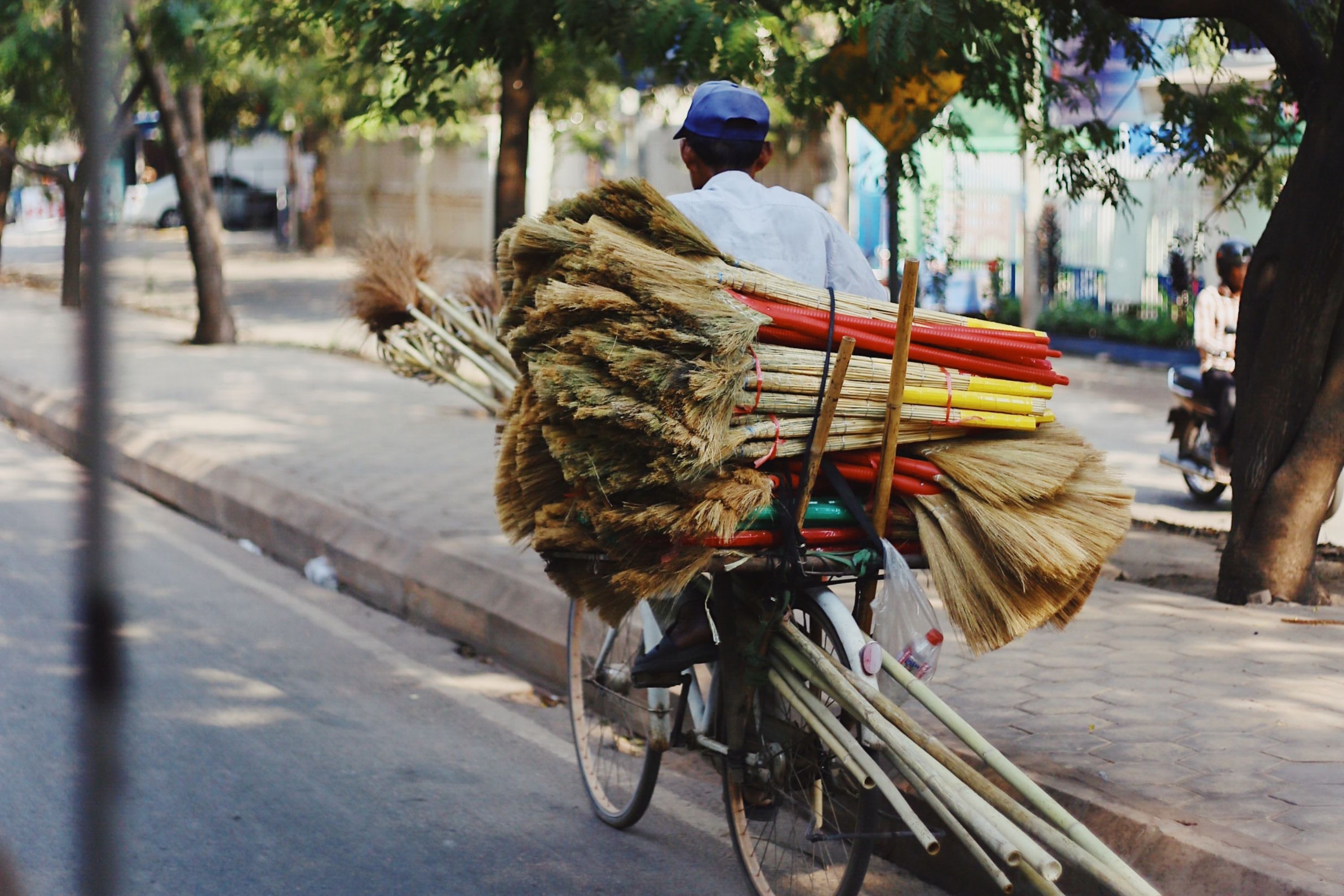 A man riding a bicycle with a stack of brooms piled up on the back ready for markets Siem Reap, Cambodia